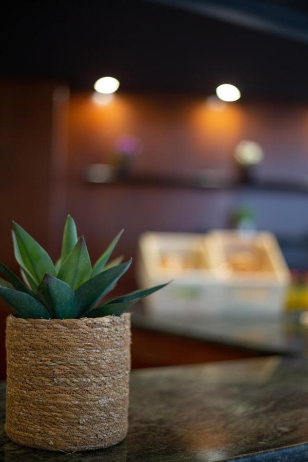 Hotel Bracamonte Peñaranda de Bracamonte Екстериор снимка